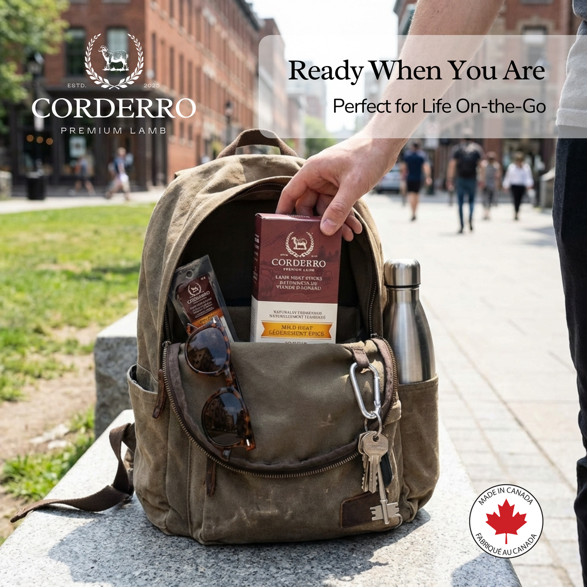 Corderro Premium Lamb Meat Sticks with mild heat, 24 sticks in a natural, savory snack presentation